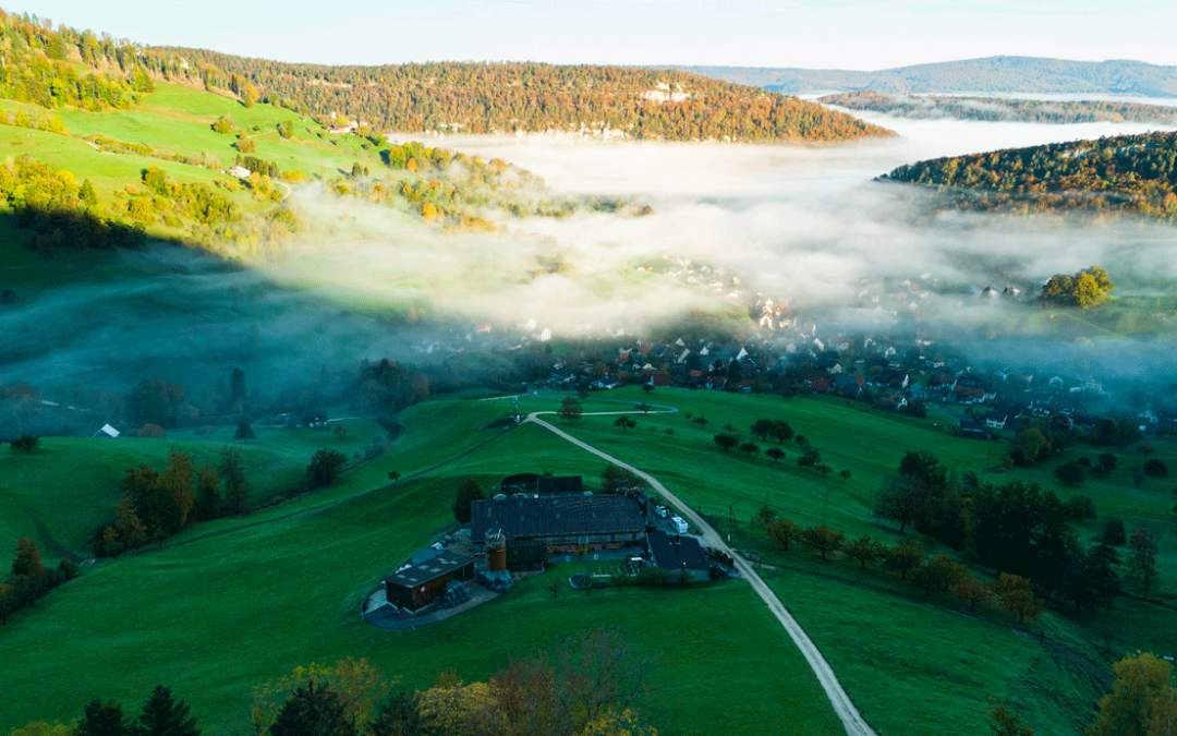 Visiter la Suisse en van : conseils, budget, vanlife…