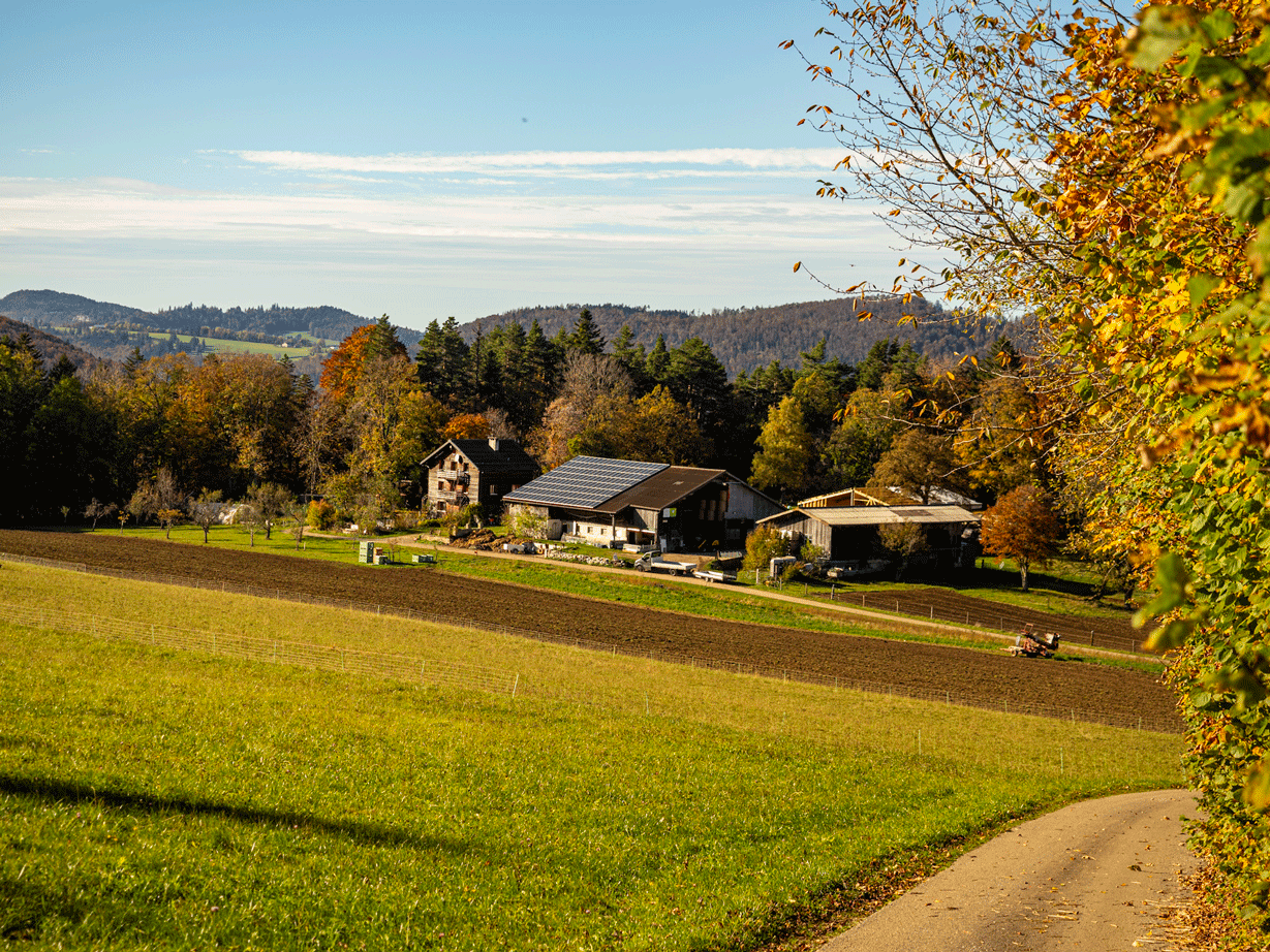 Visiter la Suisse