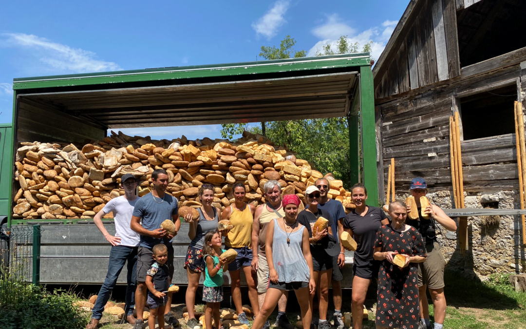 Visitez le refuge des ours de Kuterevo en Croatie : une expérience unique de préservation