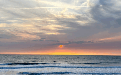 Road trip en van sur la côte Atlantique : Pays Basque, Landes & Bassin d&rsquo;Arcachon