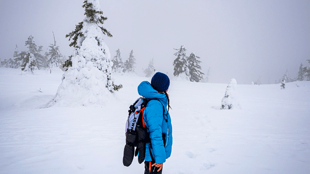hiver-dans-le-nord hiver dans le nord