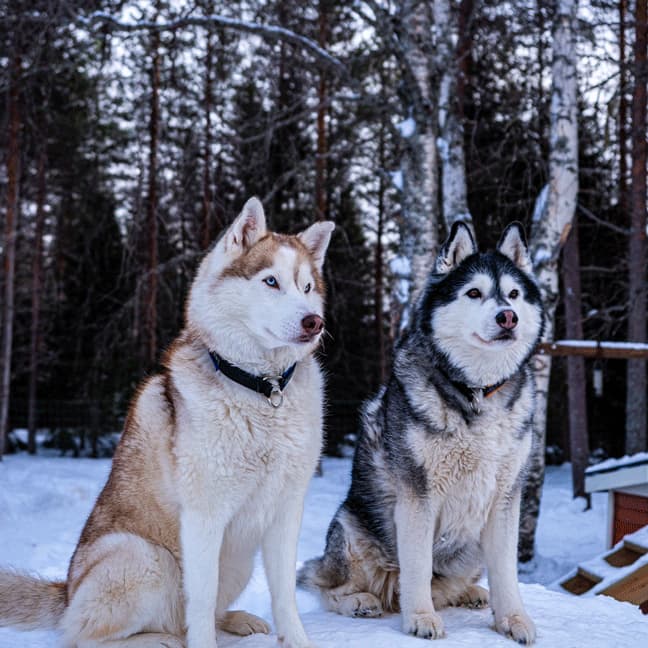 Norvege-4 roadtrip van pays nordiques