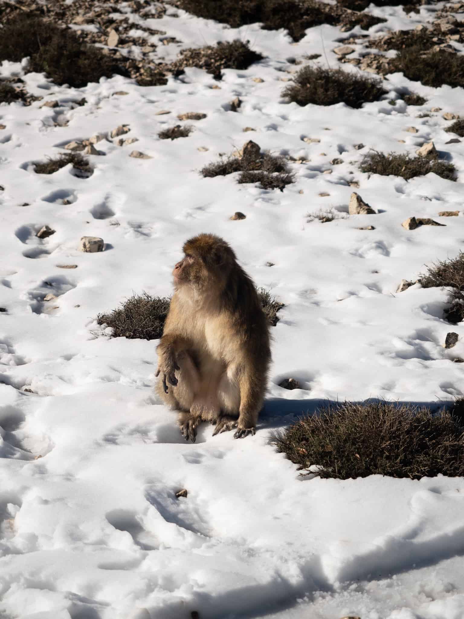Itinéraire Maroc en van